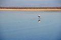 23_laguna_minique_041