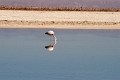 23_laguna_minique_042