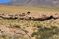 23_laguna_minique_062