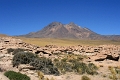 23_laguna_minique_071