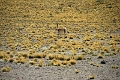 23_laguna_minique_094