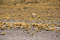 23_laguna_minique_096