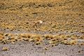 23_laguna_minique_099