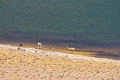 23_laguna_minique_103