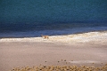 23_laguna_minique_104