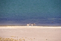 23_laguna_minique_109