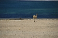 23_laguna_minique_113