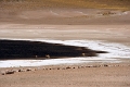 23_laguna_minique_115