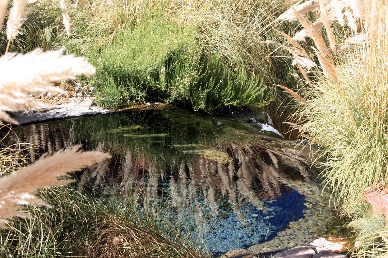 24_thermes_014.jpg