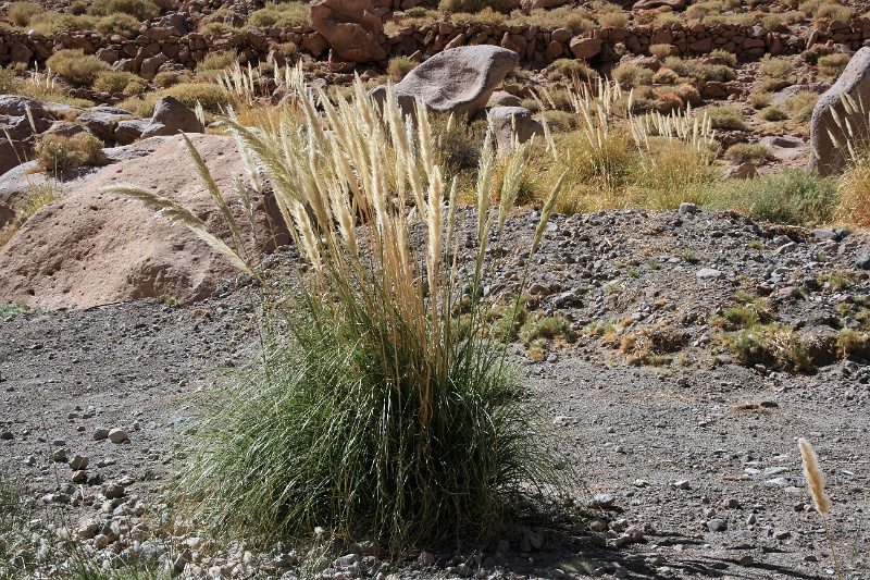 24_thermes_037.jpg