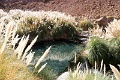 24_thermes_012