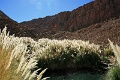 24_thermes_013