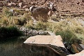 24_thermes_024