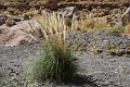 24_thermes_037