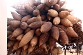 01_hanoi_musee_ethnographique_009