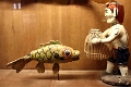01_hanoi_musee_ethnographique_014