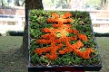 03_hanoi_temple_de_la_litterature_004