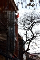 04_hanoi_promenade_en_cyclopousse_027
