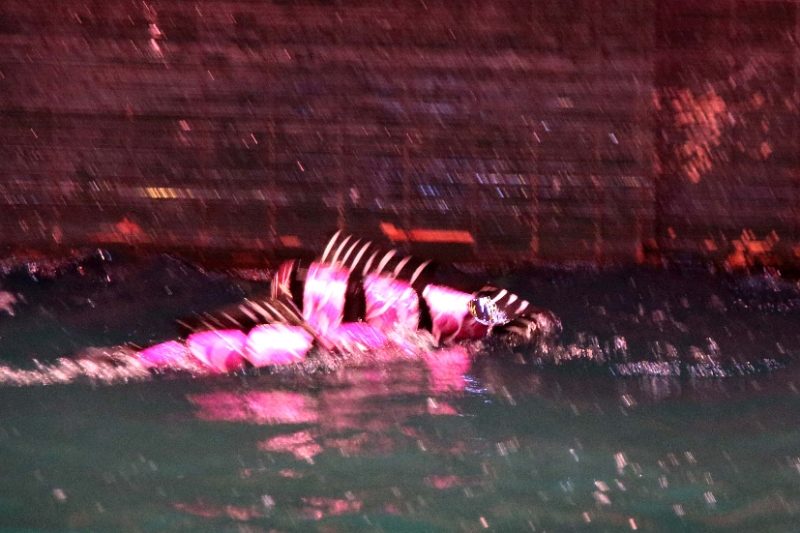 05_hanoi_marionnettes_aquatiques_033.jpg