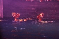 05_hanoi_marionnettes_aquatiques_012