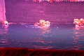 05_hanoi_marionnettes_aquatiques_014