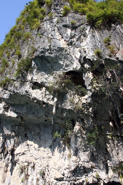 07_baie_d_hallong_044.jpg