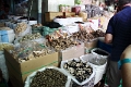 14_saigon_marche_en_gros_de_chalon_019