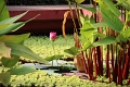 26_phnom_penh_musee_national_014