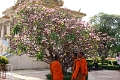 29_phnom_penh_palais_royal_013