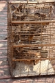 31_phnom_penh_wat_phom_005