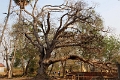 38_kampong_tralach_wat_kampopng_005