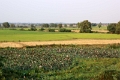 39_retour_char_a_boeufs_008