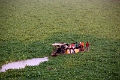 39_retour_char_a_boeufs_013
