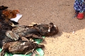 40_kampong_chhnang_048