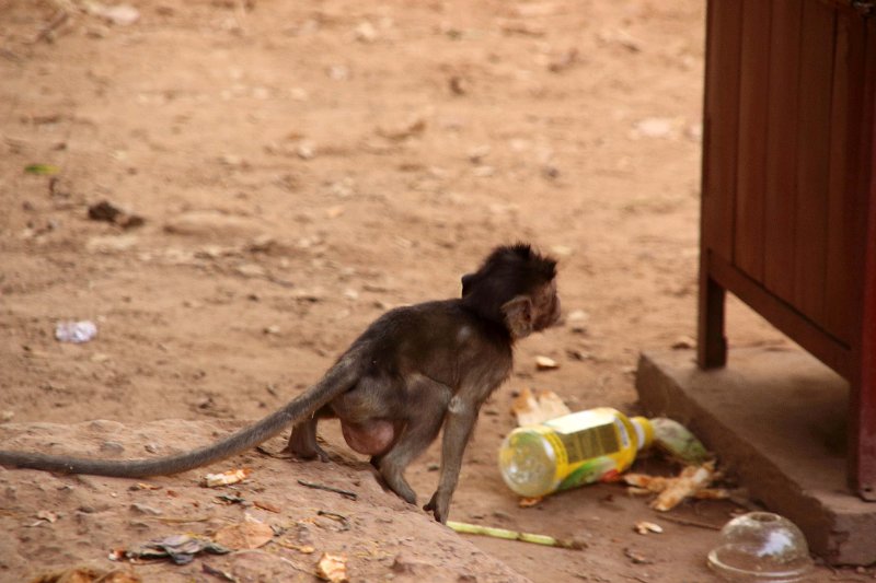 42_angkor_bayon_051.jpg