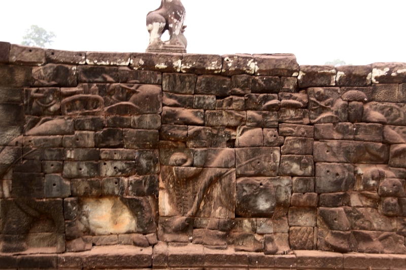 43_angkor_elephants_006.jpg