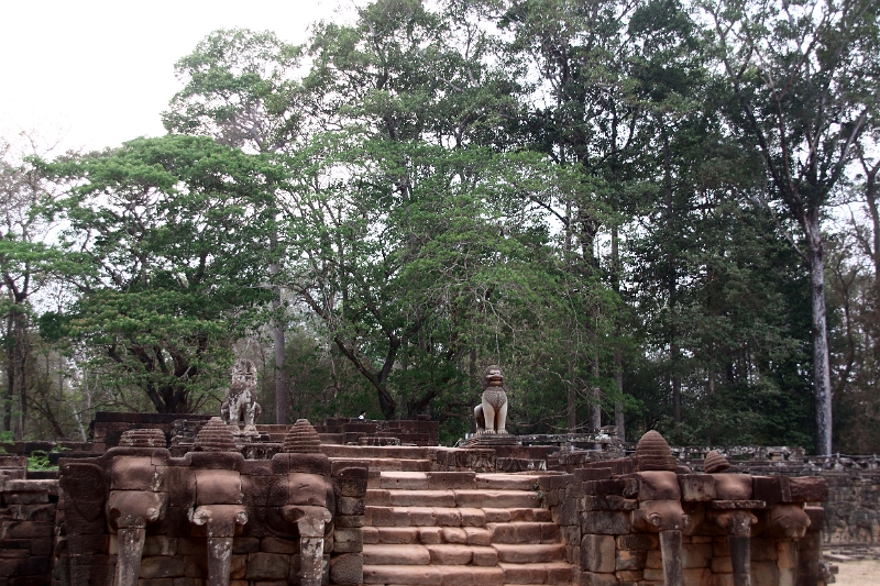 43_angkor_elephants_009.jpg