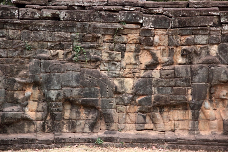 43_angkor_elephants_011.jpg