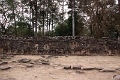43_angkor_elephants_010