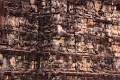 43_angkor_elephants_015
