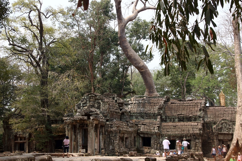 45_ta_prohm_006.jpg