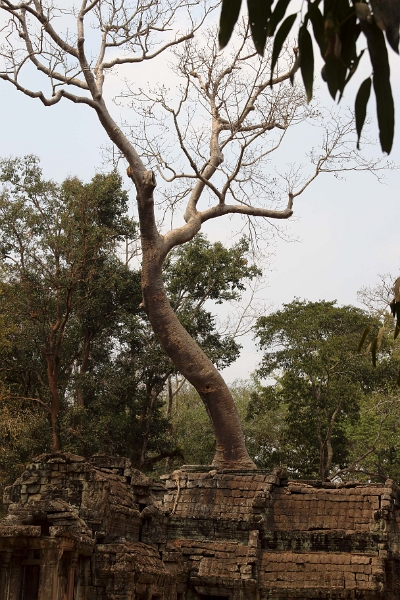 45_ta_prohm_008.jpg