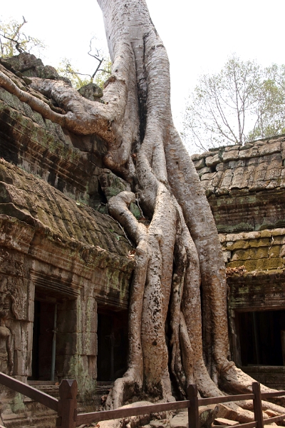 45_ta_prohm_012.jpg