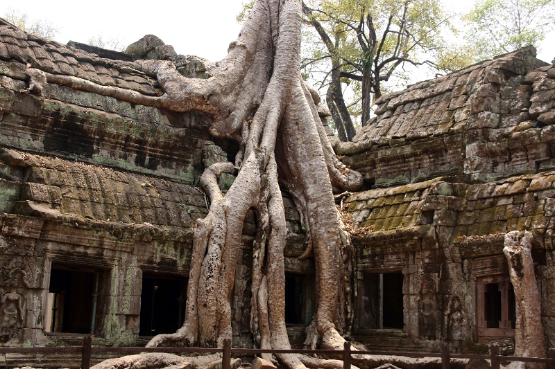 45_ta_prohm_013.jpg