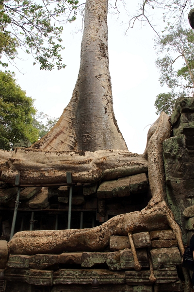 45_ta_prohm_022.jpg