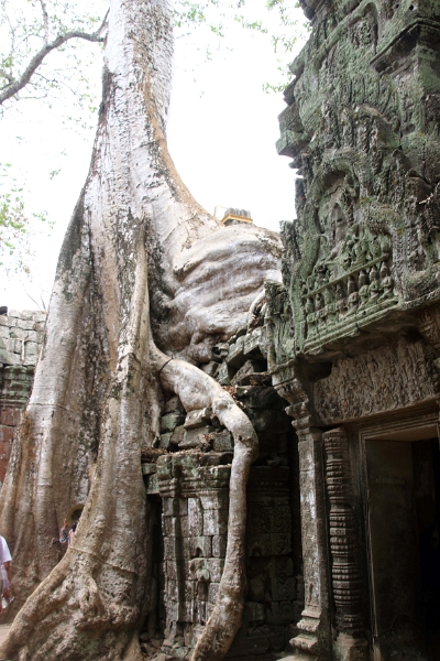 45_ta_prohm_025.jpg
