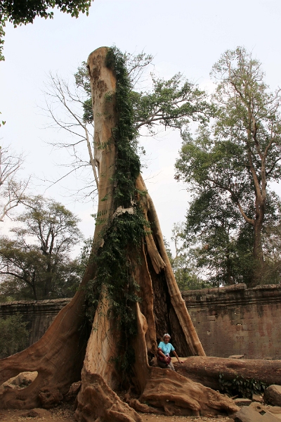45_ta_prohm_026.jpg