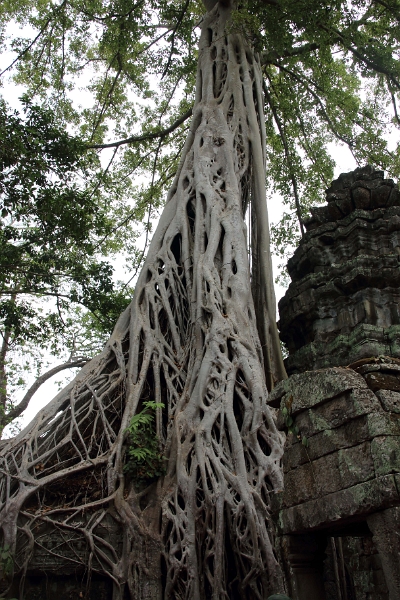 45_ta_prohm_029.jpg