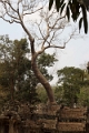 45_ta_prohm_008