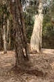 45_ta_prohm_009